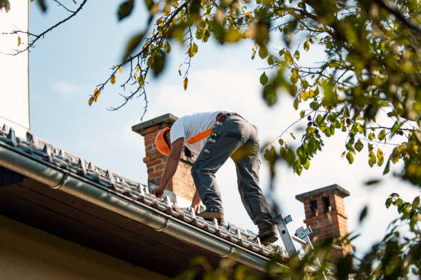 Best Local Roofing Companies  in Ann Arbor, MI