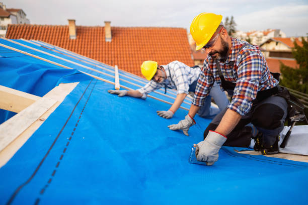Best Best Roofing Contractors  in Ann Arbor, MI